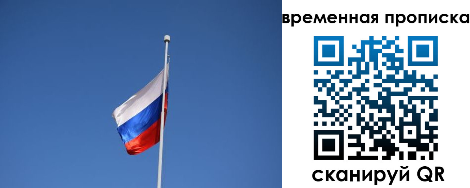 временная регистрация гарантия в Шадринске